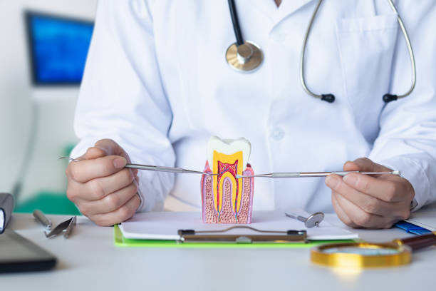Best Emergency Wisdom Teeth Removal in Camp Point, IL